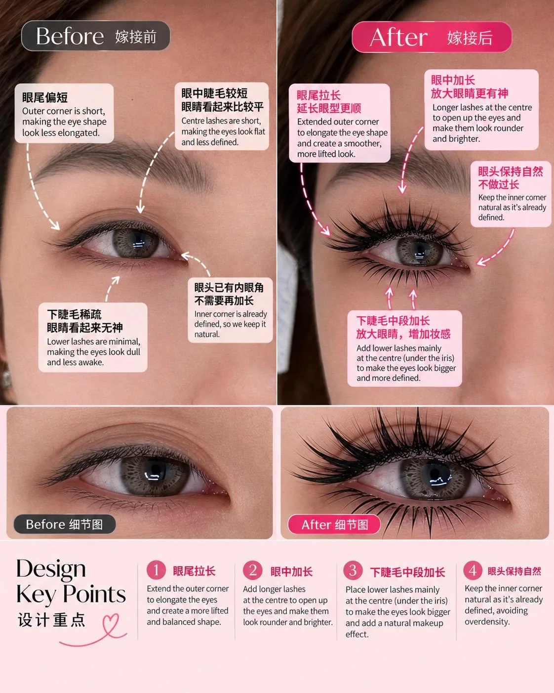 Bilingual lash design infographic illustrating outer-corner, centre and lower-lash placement